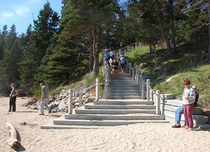 anp_steps